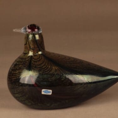 Nuutajärvi lintu Fasaani