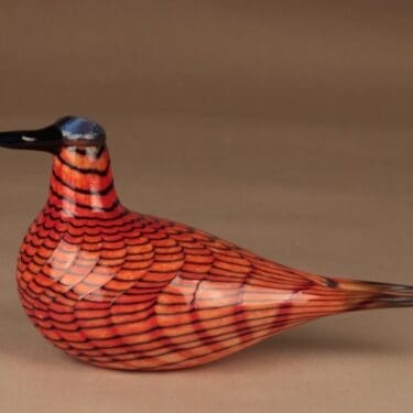 Nuutajärvi lintu Kirjotiira