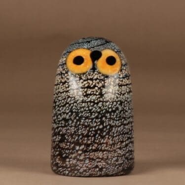 Nuutajärvi lintu Riihipöllö