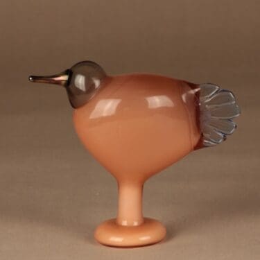 Nuutajärvi vuosilintu SSKK Leppäinen