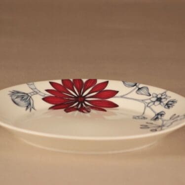 Arabia Runo lautanen, Syyshehku 25.5 cm, suunnittelija Heini Riitahuhta, Syyshehku 25.5 cm