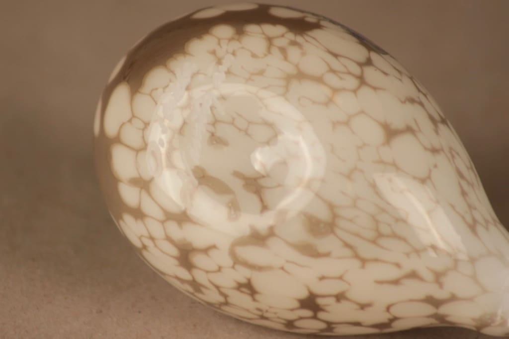 Nuutajärvi lintu , Kiiruna, suunnittelija Oiva Toikka, Kiiruna, signeerattu kuva 5